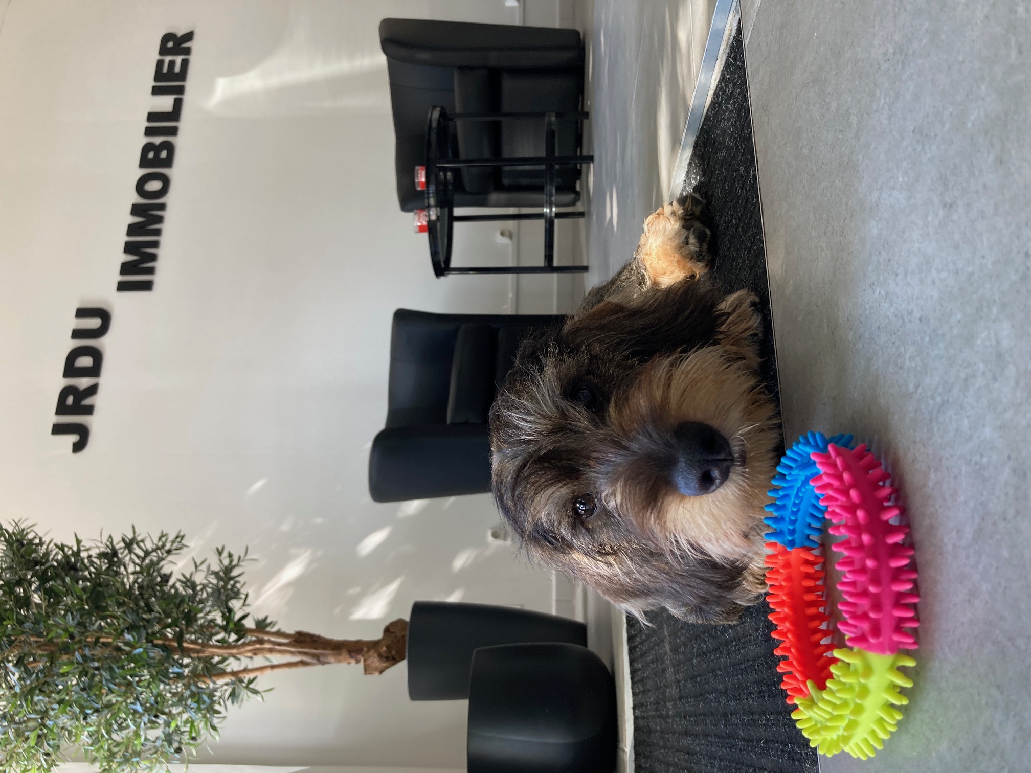 Photo de Tibère DAIRIAM-UBASSY